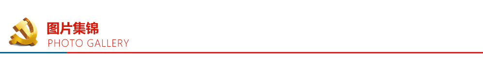 九游老哥J9俱乐部官网 - J9俱乐部老哥互换社区