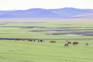 九游老哥J9俱乐部官网 - J9俱乐部老哥互换社区