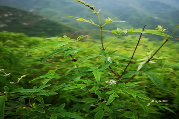 九游老哥J9俱乐部官网 - J9俱乐部老哥互换社区