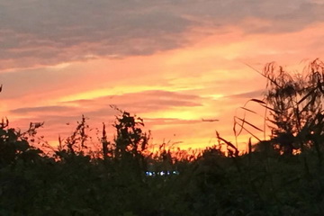 九游老哥J9俱乐部官网 - J9俱乐部老哥互换社区