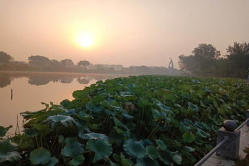 九游老哥J9俱乐部官网 - J9俱乐部老哥互换社区