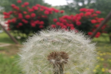 九游老哥J9俱乐部官网 - J9俱乐部老哥互换社区