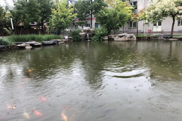 九游老哥J9俱乐部官网 - J9俱乐部老哥互换社区