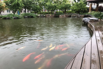 九游老哥J9俱乐部官网 - J9俱乐部老哥互换社区