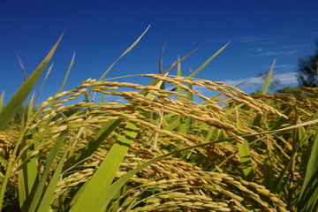 九游老哥J9俱乐部官网 - J9俱乐部老哥互换社区