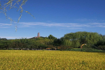 九游老哥J9俱乐部官网 - J9俱乐部老哥互换社区