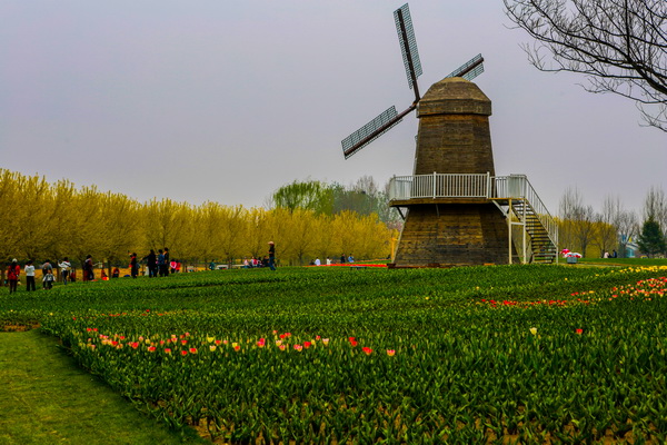 九游老哥J9俱乐部官网 - J9俱乐部老哥互换社区