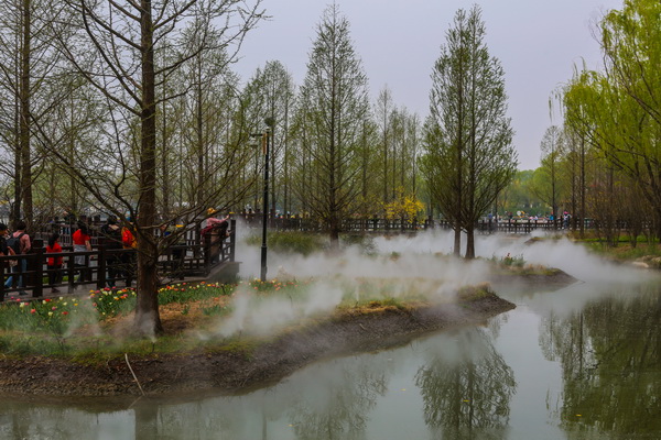 九游老哥J9俱乐部官网 - J9俱乐部老哥互换社区