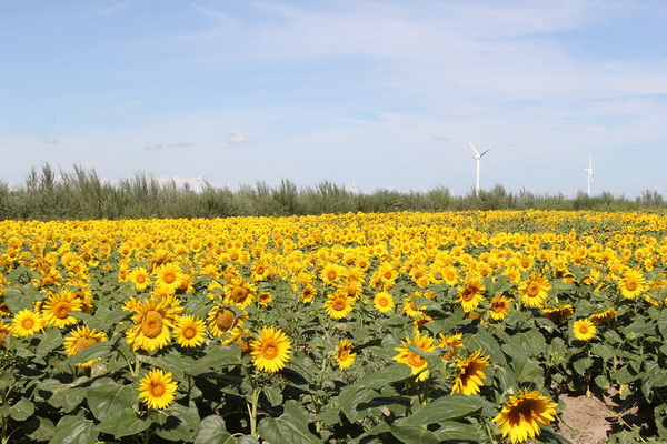 九游老哥J9俱乐部官网 - J9俱乐部老哥互换社区