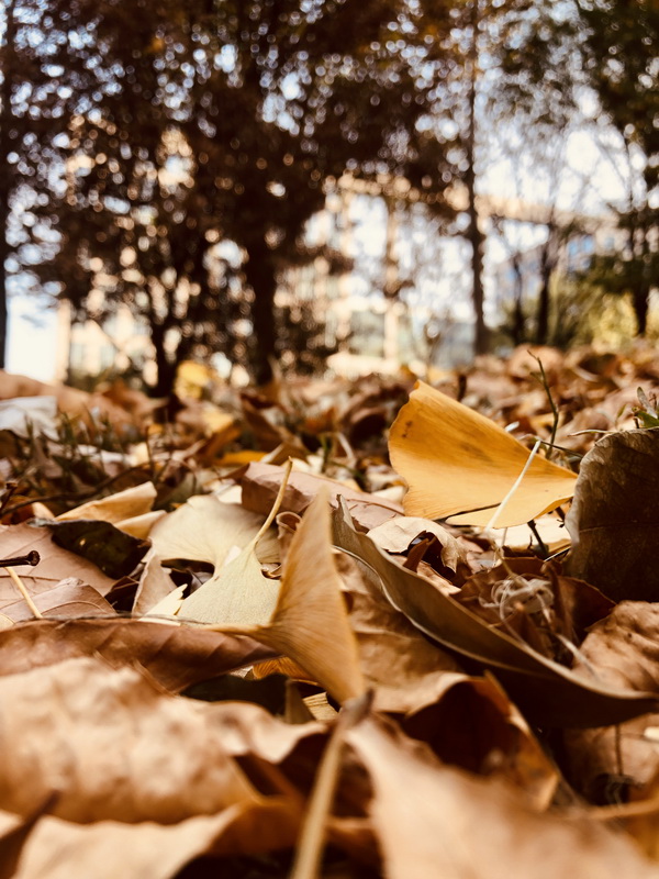 九游老哥J9俱乐部官网 - J9俱乐部老哥互换社区