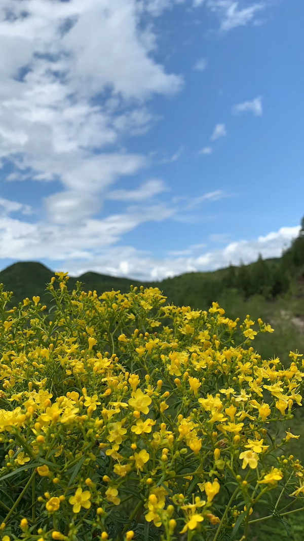 九游老哥J9俱乐部官网 - J9俱乐部老哥互换社区