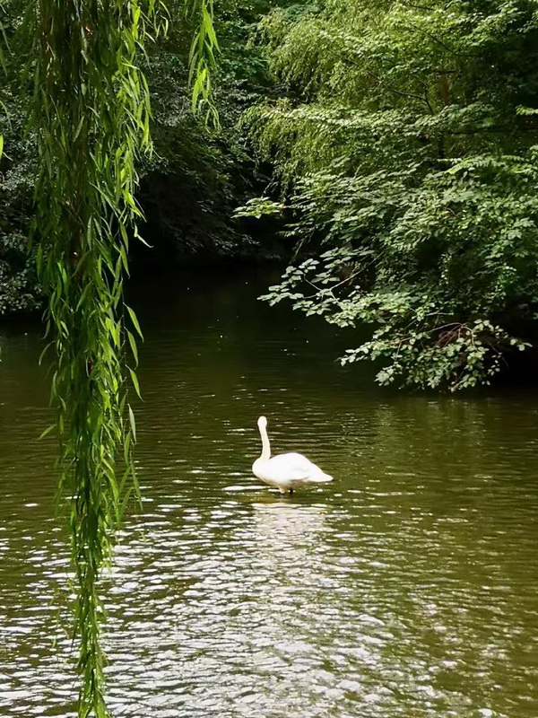 九游老哥J9俱乐部官网 - J9俱乐部老哥互换社区