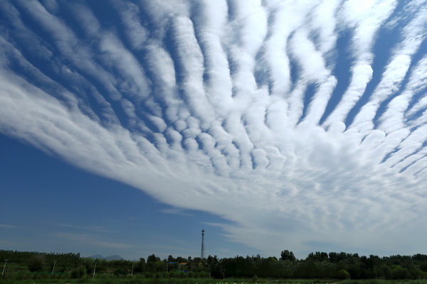 九游老哥J9俱乐部官网 - J9俱乐部老哥互换社区