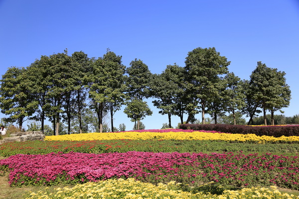 九游老哥J9俱乐部官网 - J9俱乐部老哥互换社区