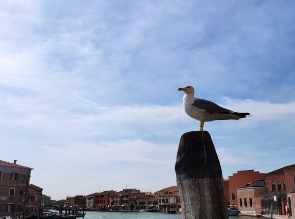 九游老哥J9俱乐部官网 - J9俱乐部老哥互换社区