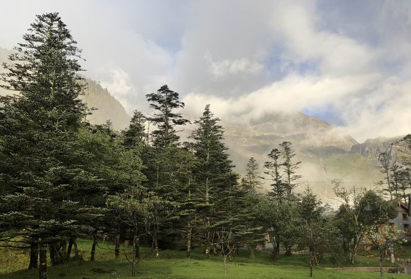 九游老哥J9俱乐部官网 - J9俱乐部老哥互换社区