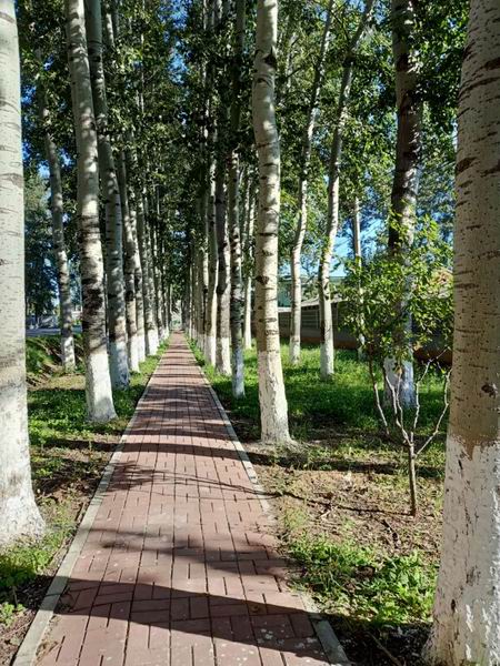 九游老哥J9俱乐部官网 - J9俱乐部老哥互换社区