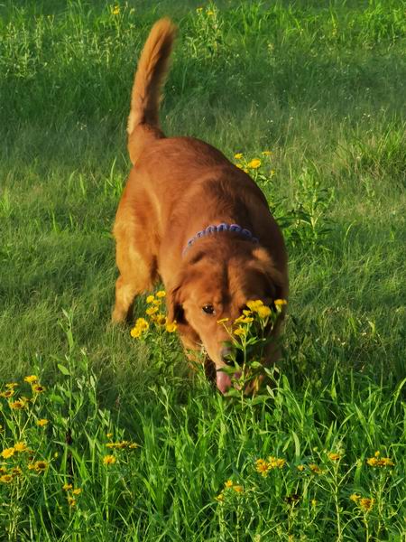 九游老哥J9俱乐部官网 - J9俱乐部老哥互换社区