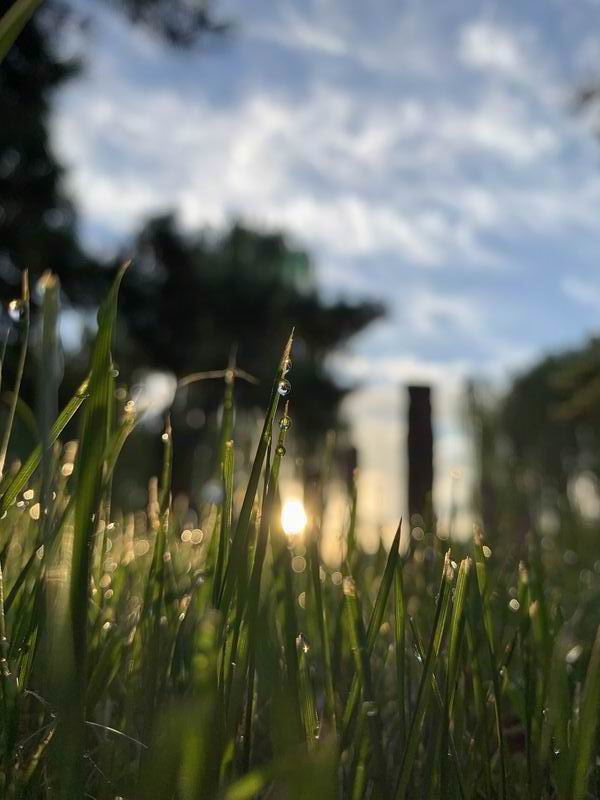 九游老哥J9俱乐部官网 - J9俱乐部老哥互换社区