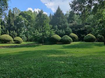 九游老哥J9俱乐部官网 - J9俱乐部老哥互换社区