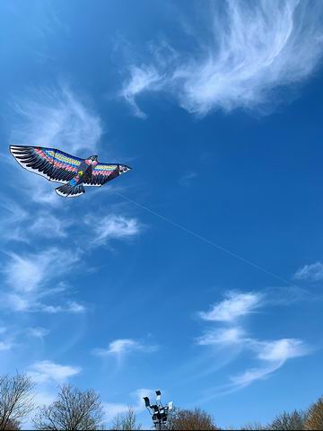 九游老哥J9俱乐部官网 - J9俱乐部老哥互换社区