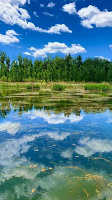 九游老哥J9俱乐部官网 - J9俱乐部老哥互换社区