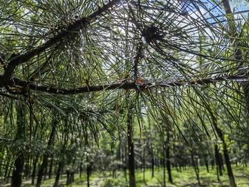 九游老哥J9俱乐部官网 - J9俱乐部老哥互换社区