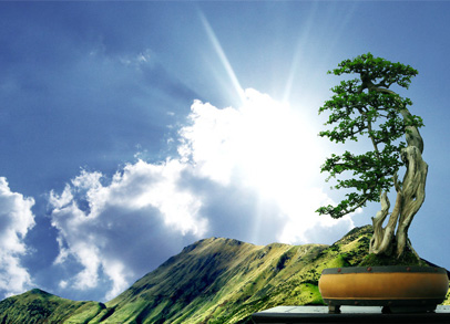 九游老哥J9俱乐部官网 - J9俱乐部老哥互换社区