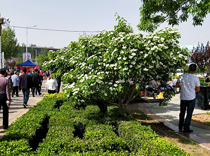 九游老哥J9俱乐部官网 - J9俱乐部老哥互换社区