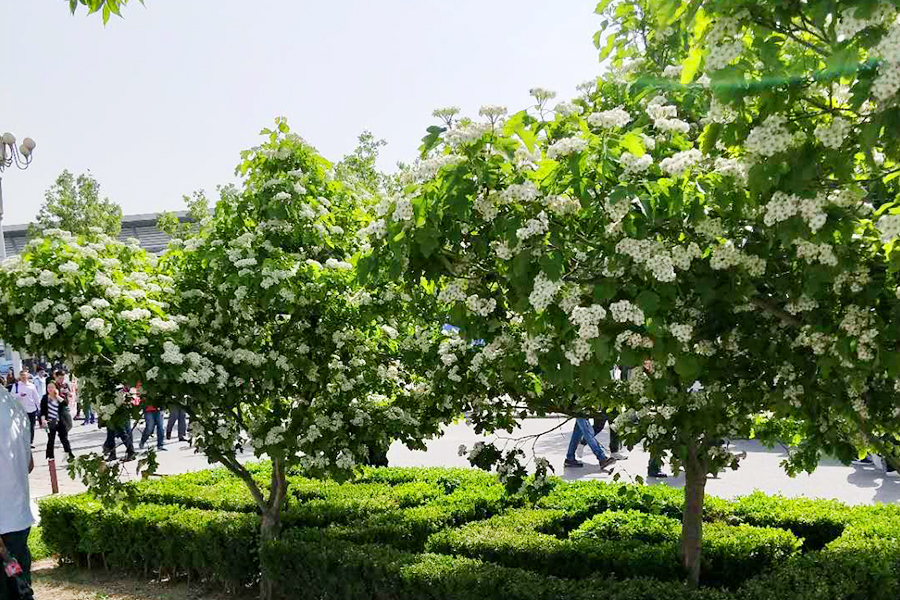 九游老哥J9俱乐部官网 - J9俱乐部老哥互换社区