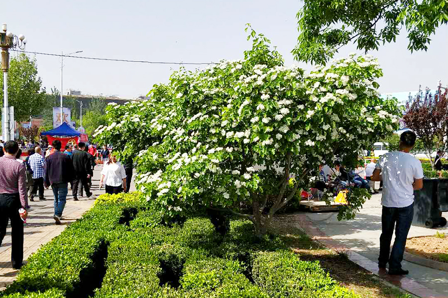 九游老哥J9俱乐部官网 - J9俱乐部老哥互换社区