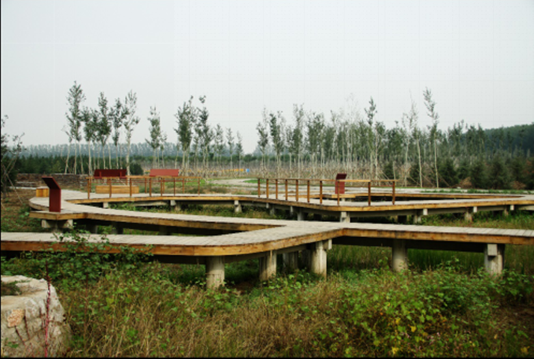 九游老哥J9俱乐部官网 - J9俱乐部老哥互换社区