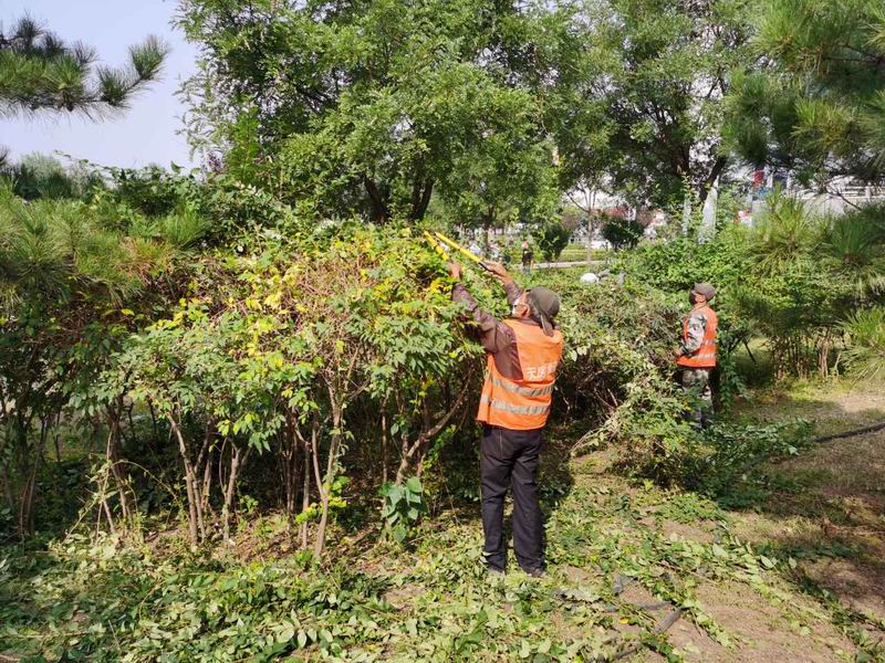 九游老哥J9俱乐部官网 - J9俱乐部老哥互换社区