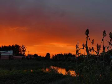 九游老哥J9俱乐部官网 - J9俱乐部老哥互换社区