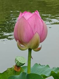 九游老哥J9俱乐部官网 - J9俱乐部老哥互换社区