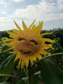 九游老哥J9俱乐部官网 - J9俱乐部老哥互换社区