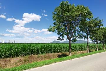 九游老哥J9俱乐部官网 - J9俱乐部老哥互换社区