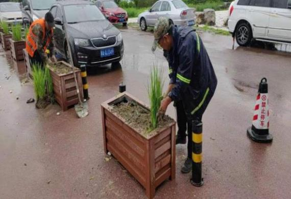 九游老哥J9俱乐部官网 - J9俱乐部老哥互换社区